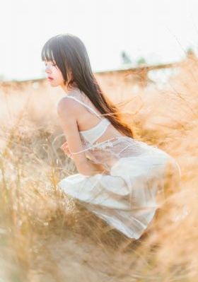 九龙城寨免费高清_BD英语完整视频观看