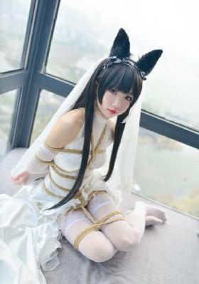 猫咪在线观看网址_1080视频大全